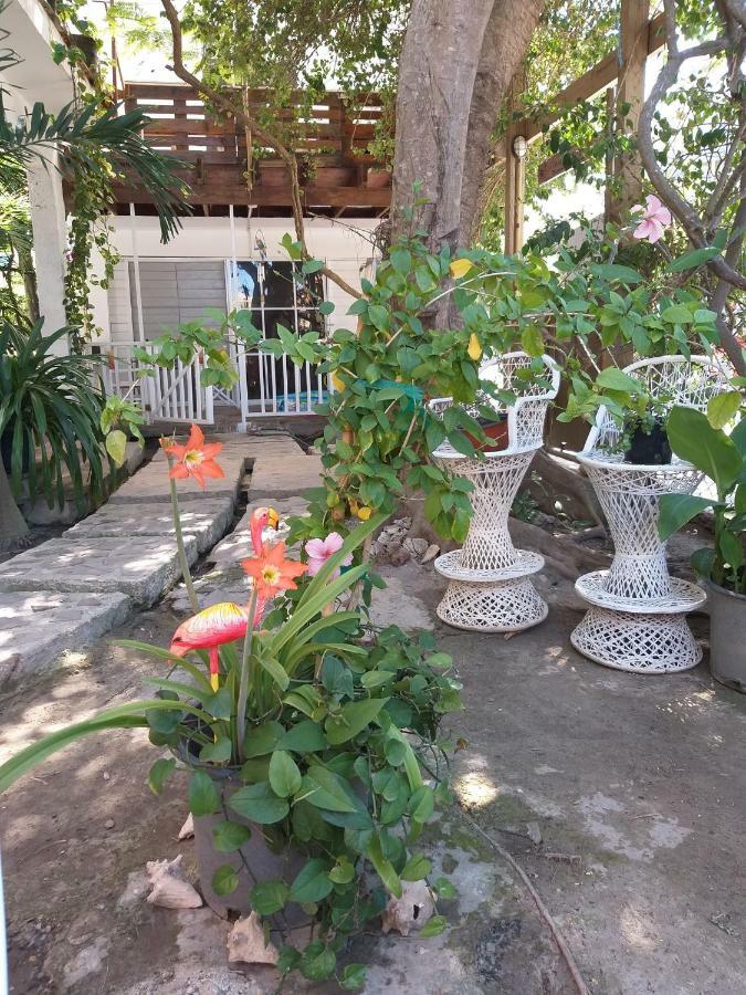 פונטה קאנה Villa Florencia Bavaro מראה חיצוני תמונה